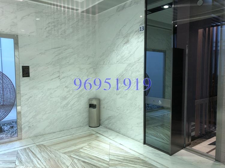 Thomson Grand (D20), Condominium #168783532